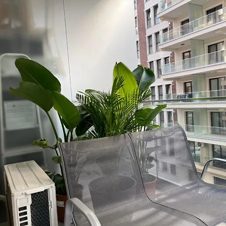 Moghioros Park Apartman *